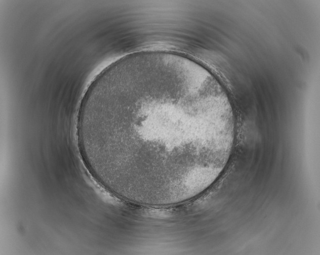 X0000110911086200907091431