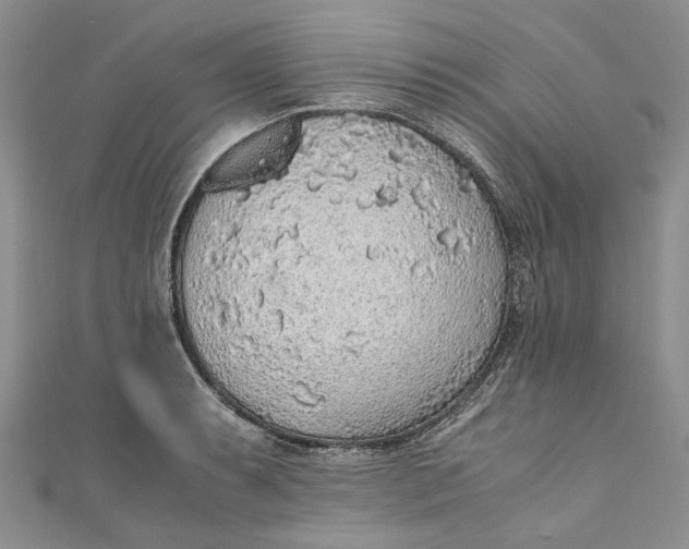 X0000110911087200907091431