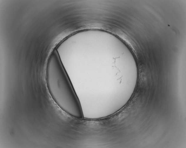 X0000110911088200907091431