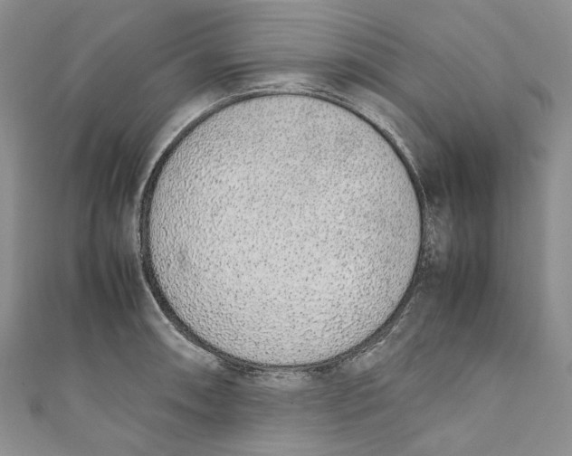 X0000110911090200907091431