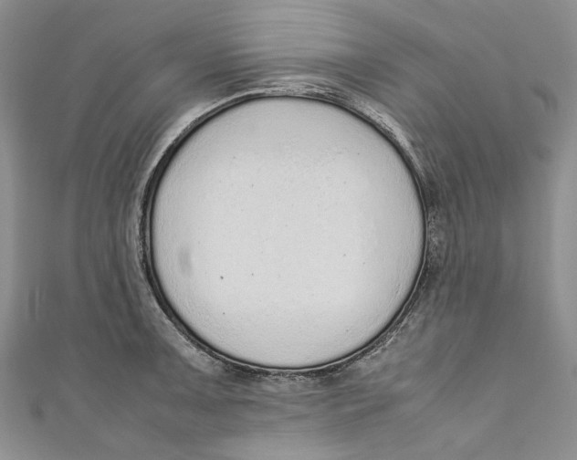 X0000110911091200907091431