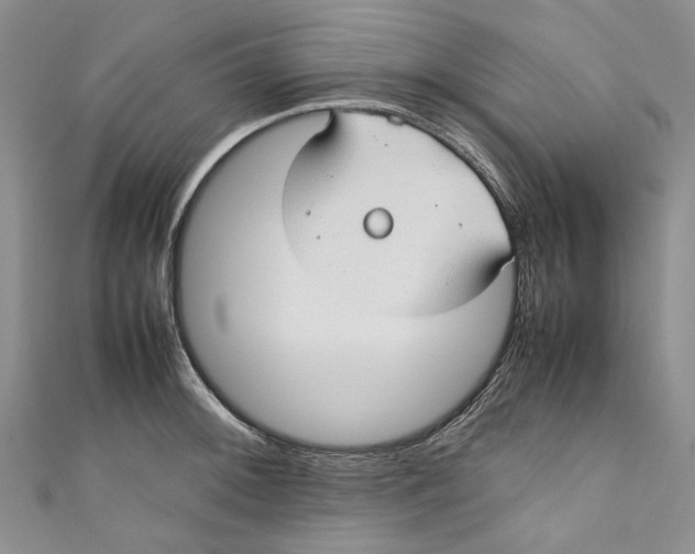 X0000110911092200907091431