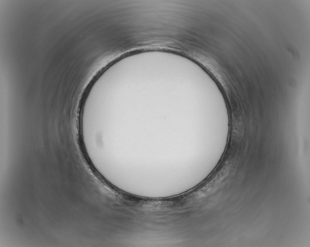 X0000110911093200907091431