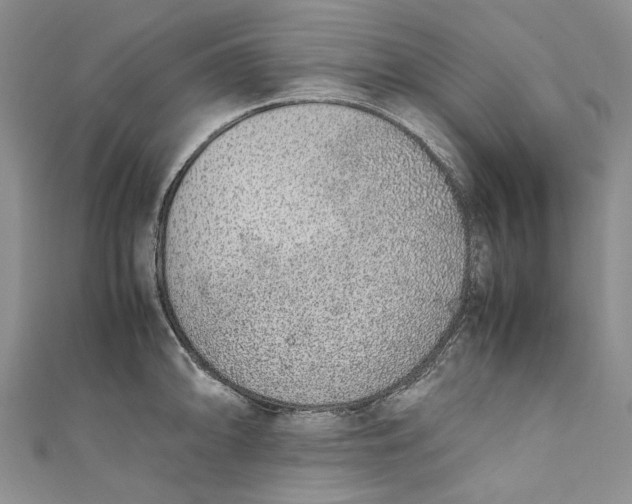 X0000110911094200907091431