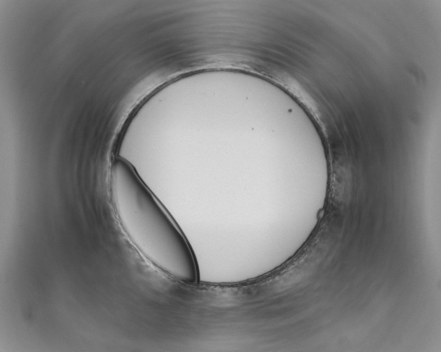 X0000110911096200907091431