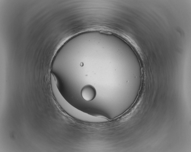 X0000110911097200907091431