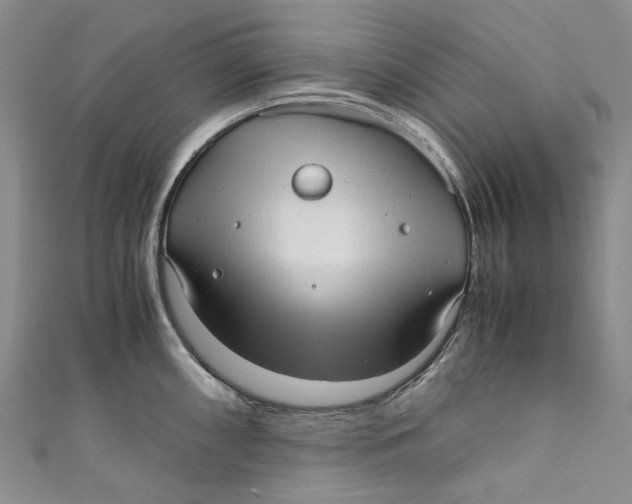 X0000110911098200907091431