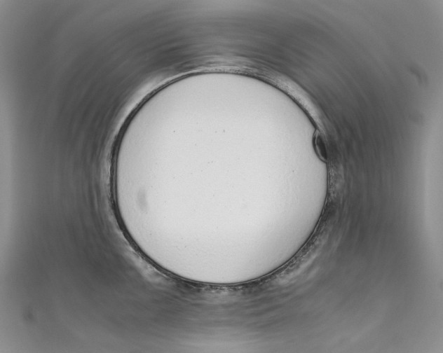 X0000110911099200907091431