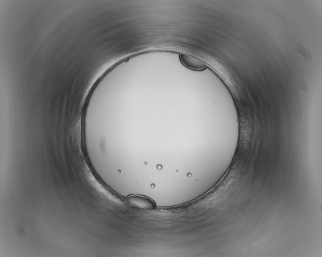 X0000110911100200907091431