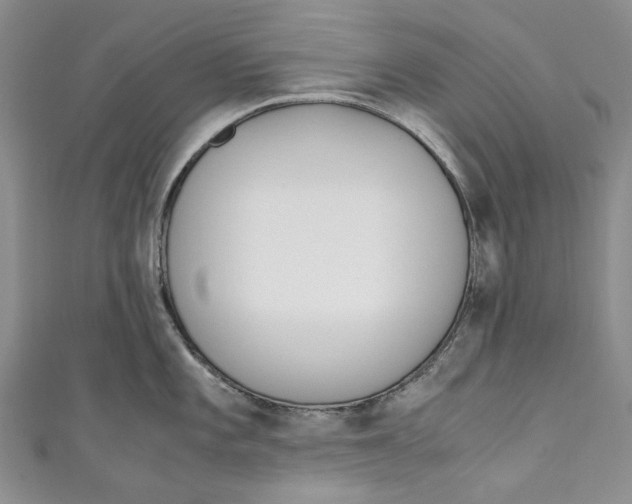 X0000110911101200907091431