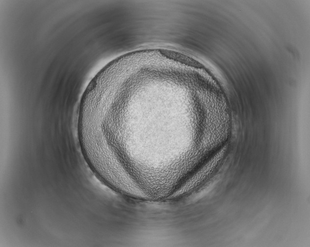 X0000110911102200907091431