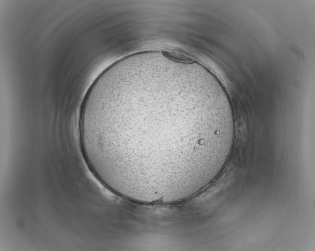 X0000110911103200907091431