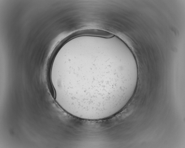 X0000110911104200907091431