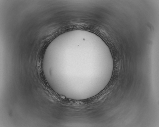 X0000110911109200907091431