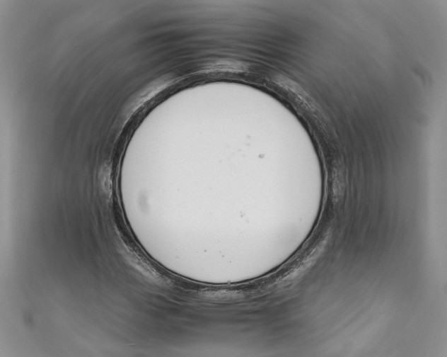 X0000110911113200907091431