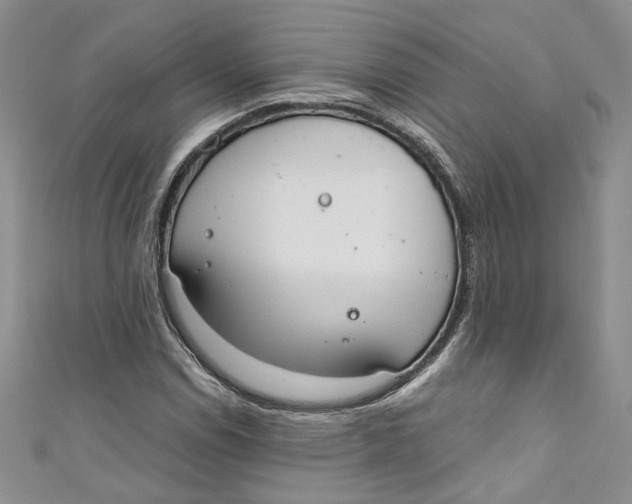 X0000110911114200907091431