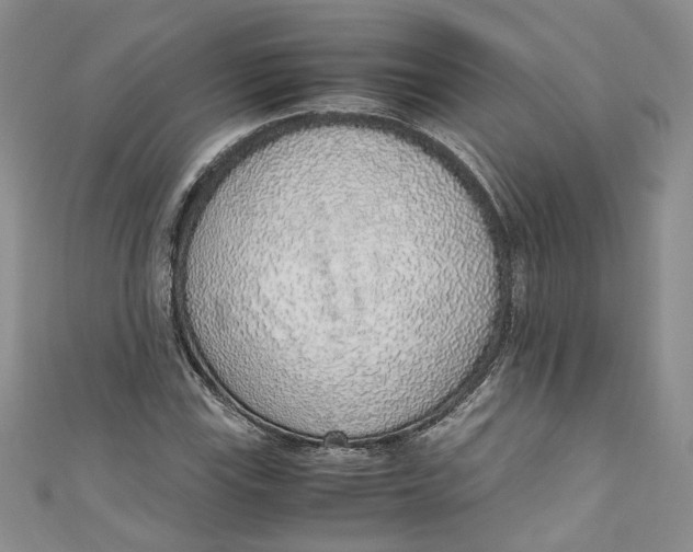 X0000110911115200907091431