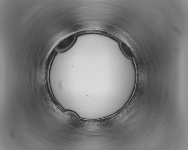 X0000110911116200907091431