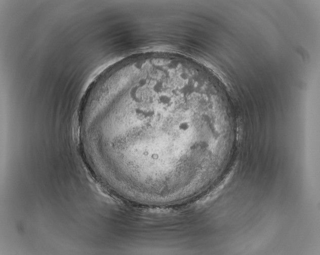 X0000110911117200907091431