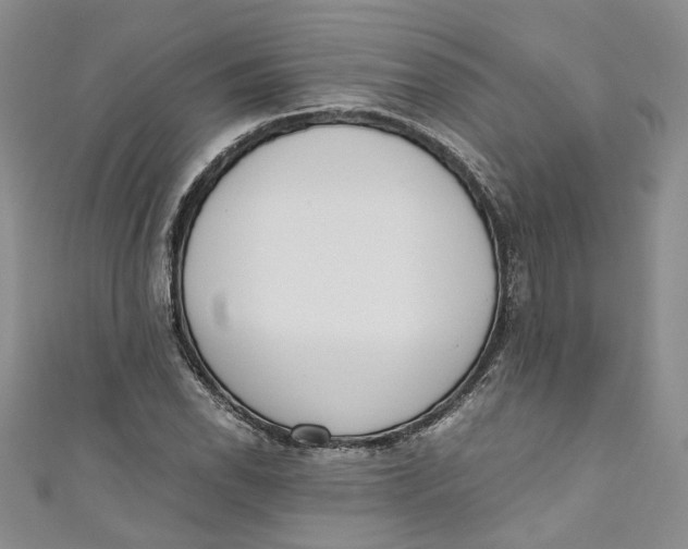 X0000110911118200907091431