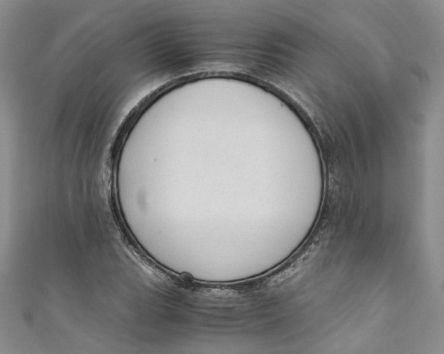 X0000110911119200907091431