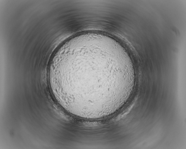 X0000110911121200907091431