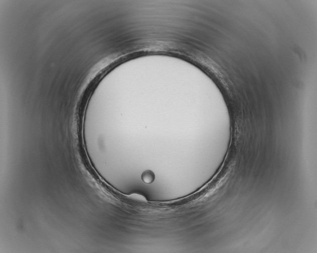 X0000110911122200907091431