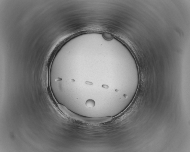 X0000110911123200907091431