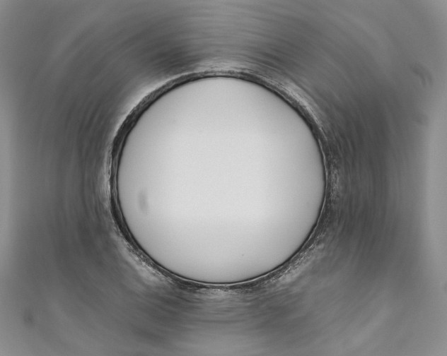 X0000110911124200907091431