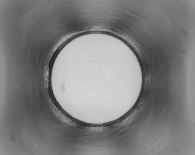 X0000110911126200907091431