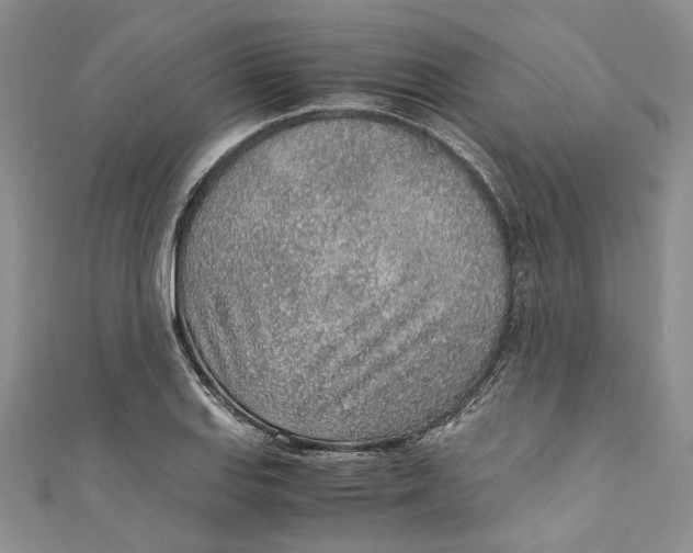 X0000110911127200907091431