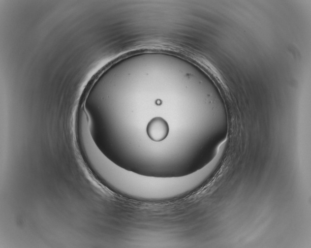 X0000110911128200907091431