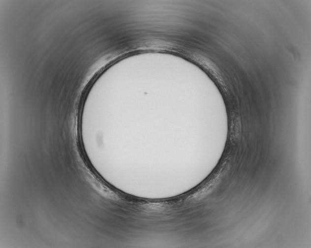 X0000110911130200907091431