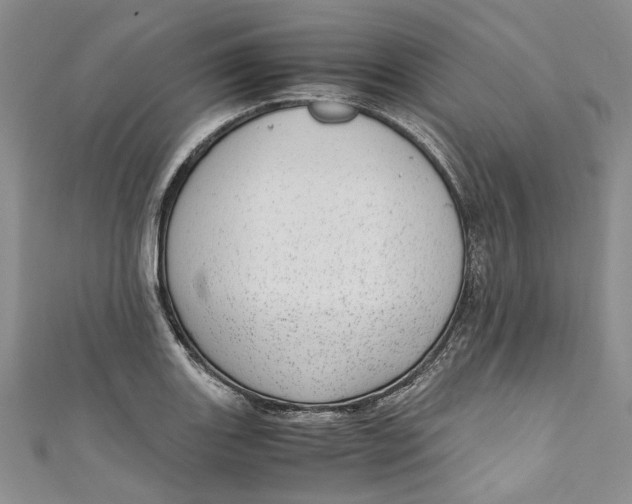 X0000110911131200907091431