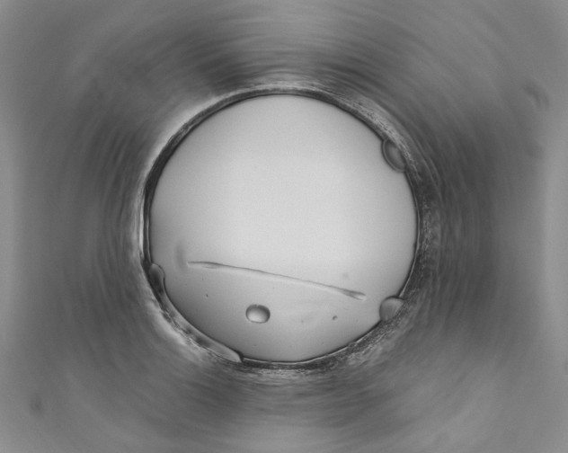 X0000110911132200907091431