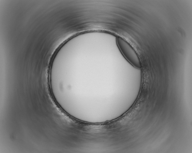 X0000110911134200907091431