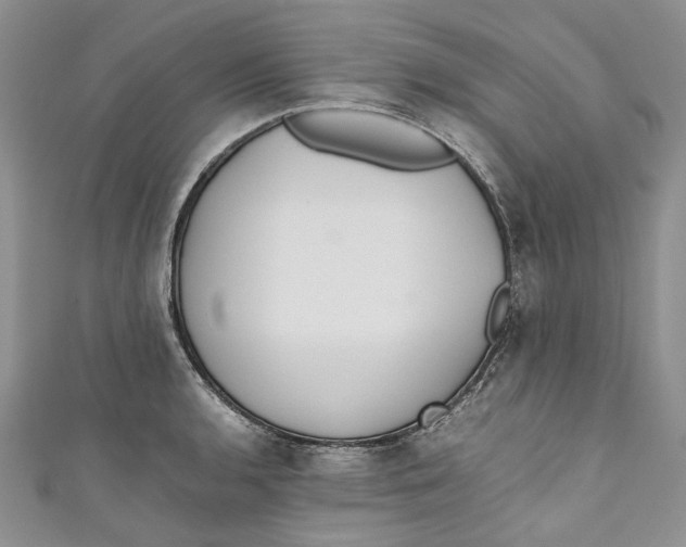 X0000110911136200907091431