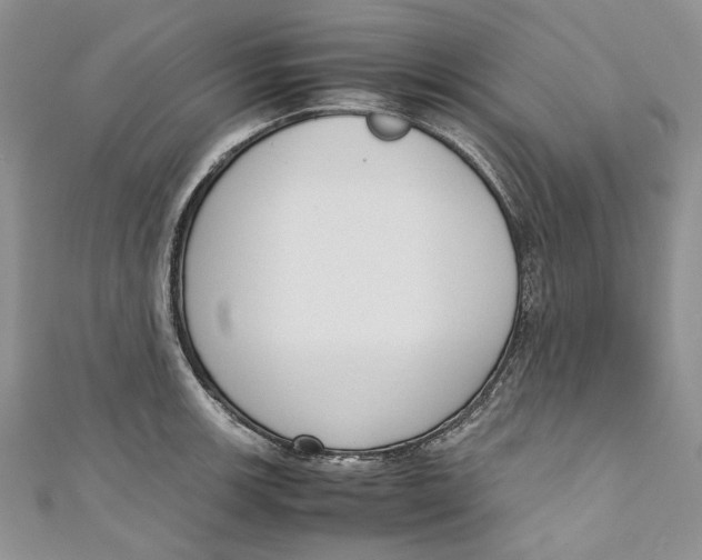 X0000110911139200907091431