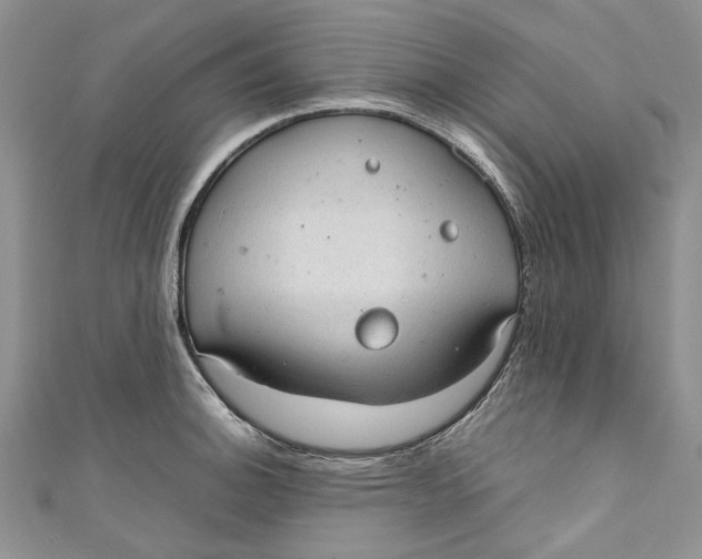 X0000110911140200907091431