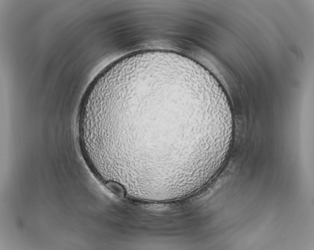 X0000110911141200907091431