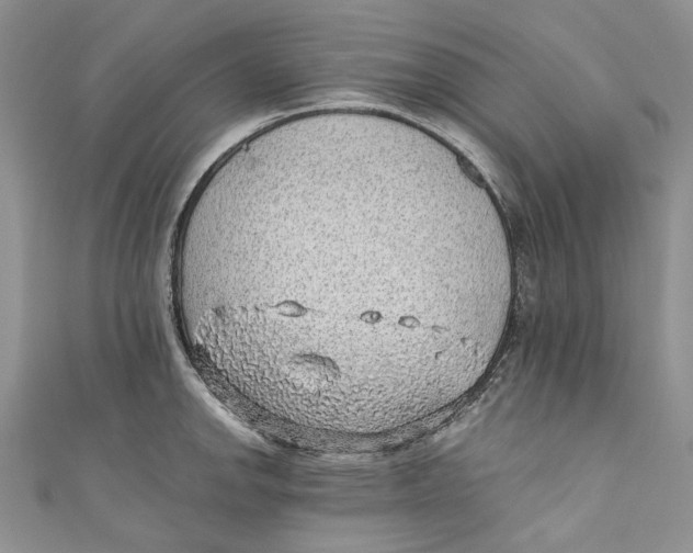 X0000110911142200907091431