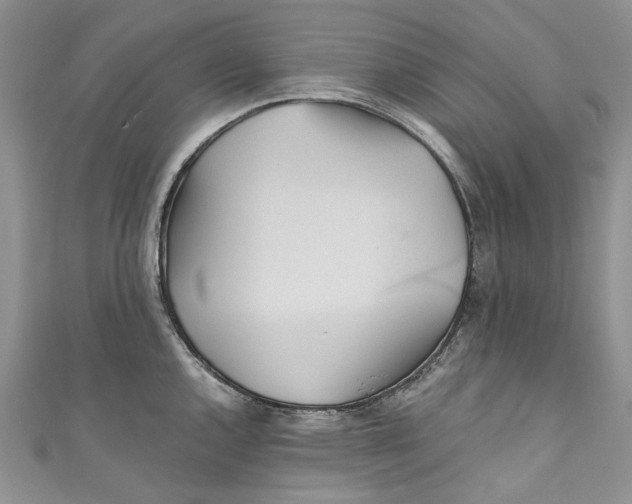 X0000110911144200907091431