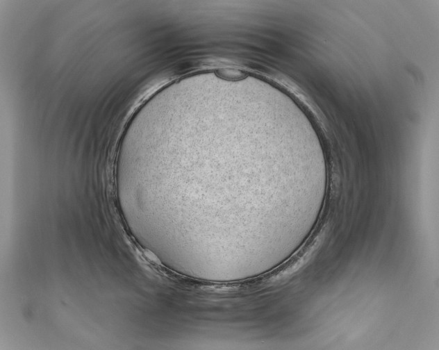 X0000110911145200907091431