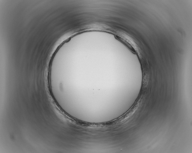 X0000110911146200907091431