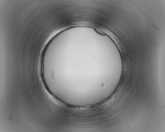 X0000110911147200907091431