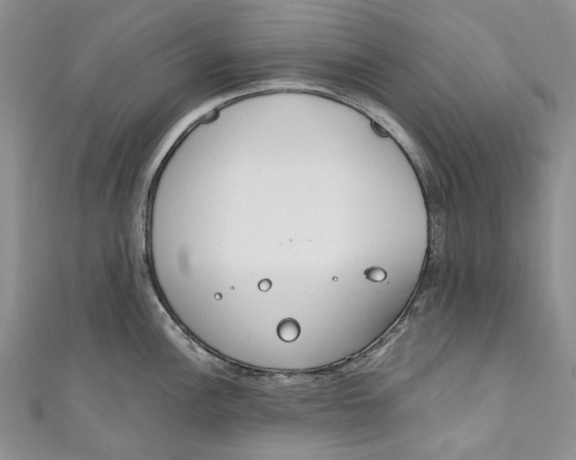 X0000110911148200907091431