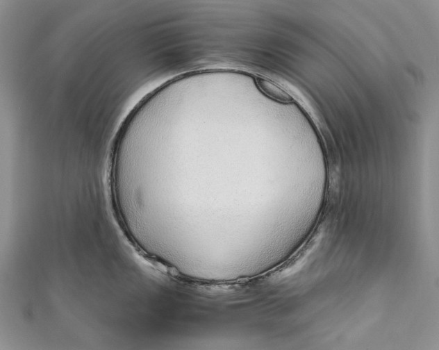 X0000110911149200907091431