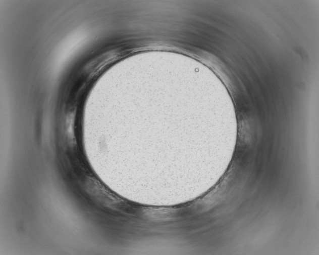 X0000110911150200907091431