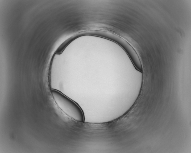 X0000110911152200907091431