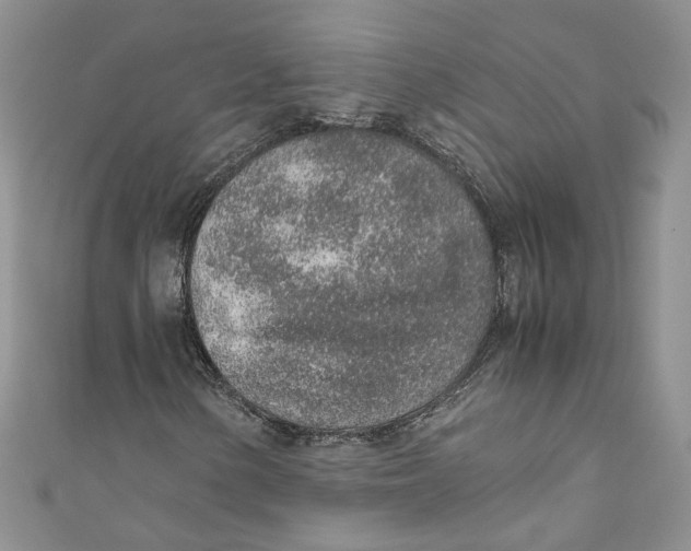 X0000110911154200907091430